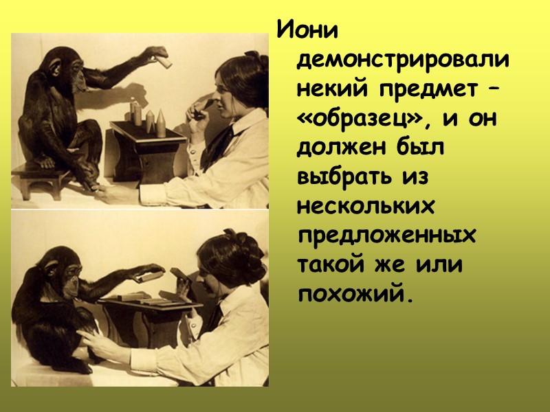 Иони демонстрировали некий предмет – «образец», и он должен был выбрать из нескольких предложенных